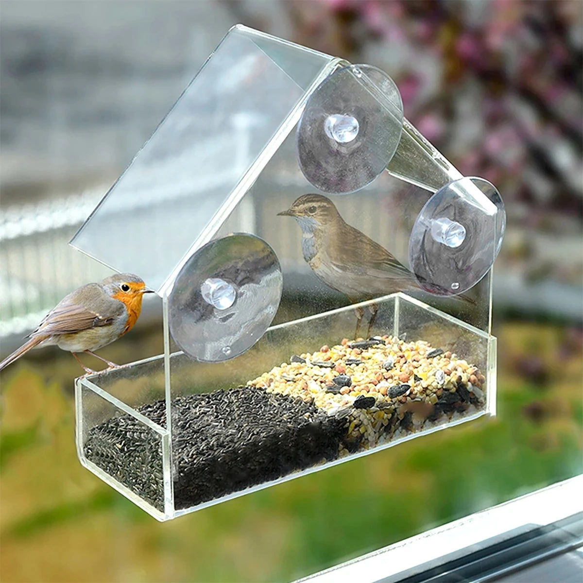 New Transparent House Window Wild Bird Feeder Outdoor Removable Suction Cups Sliding Automatic Birds Feed Tray for Garden Yard